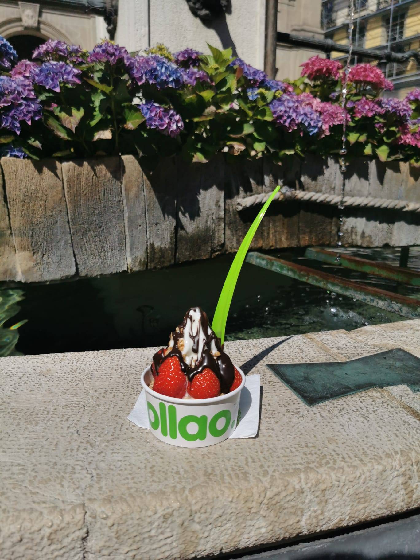 Llaollao Frozen Yogurt Most Healthy Desserts In Geneva And Number 1 In