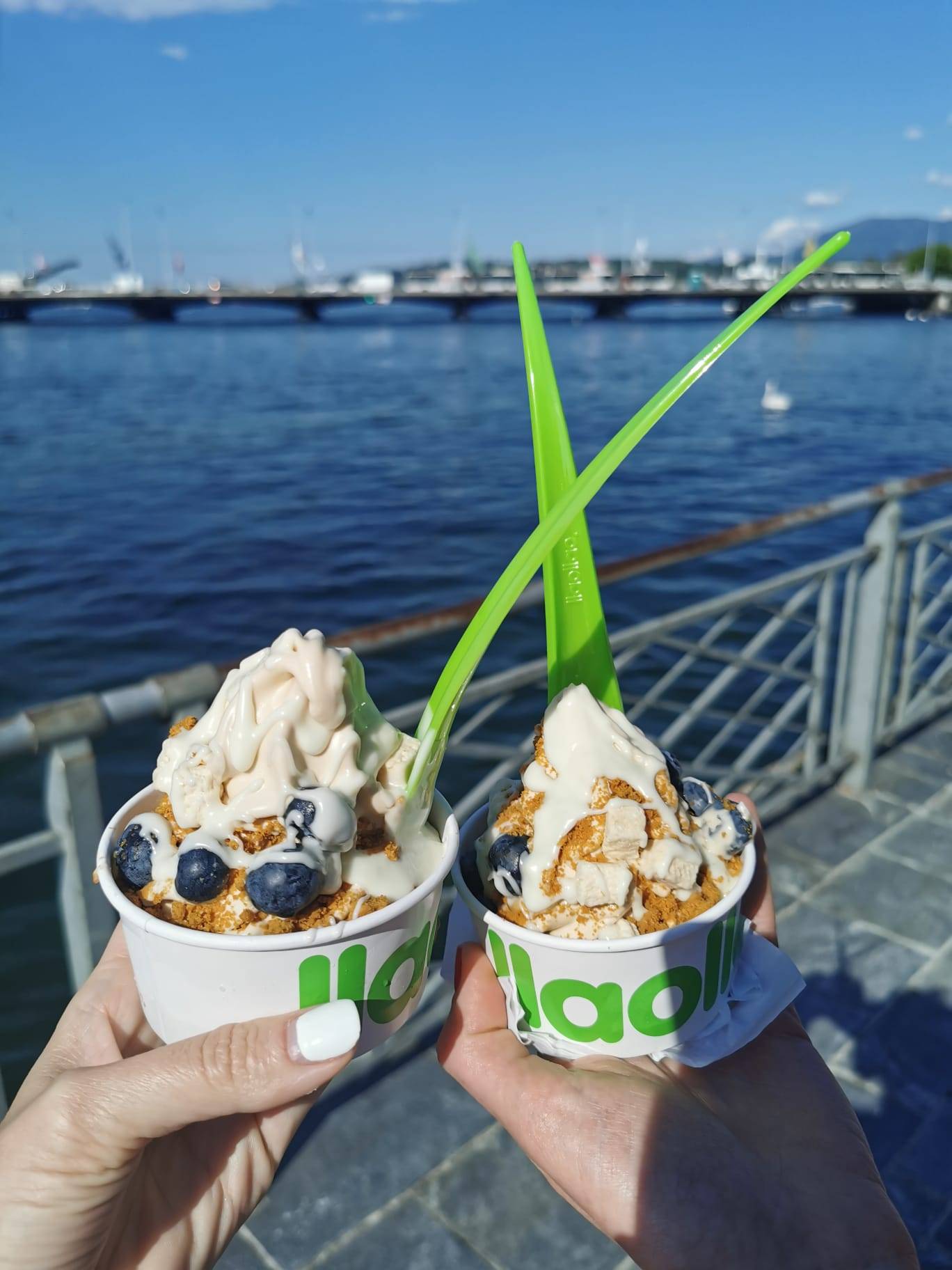 Llaollao Frozen Yogurt Most Healthy Desserts In Geneva And Number 1 In