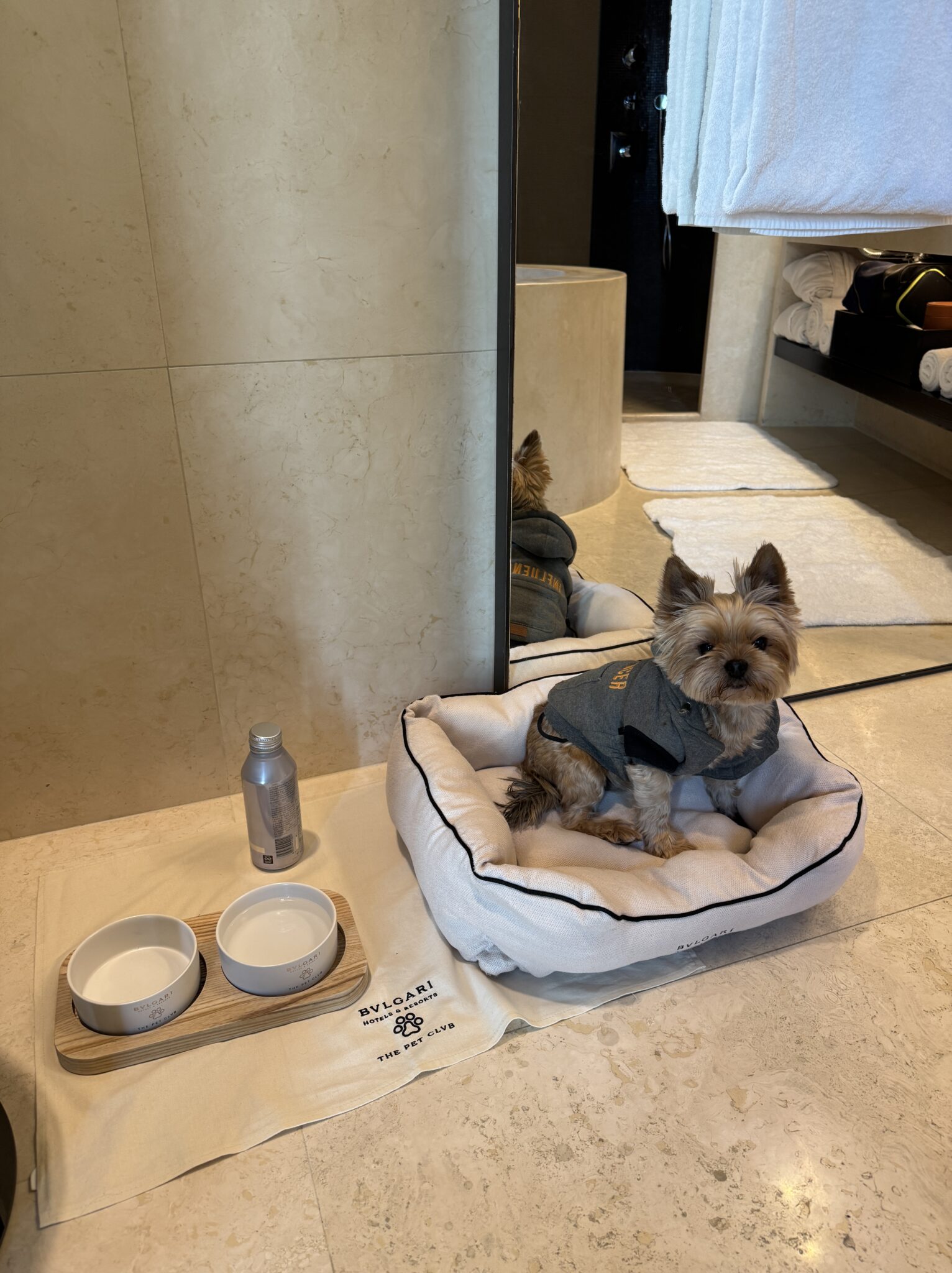 5 reasons to escape the busy life at Bvlgari Hotel Milano. A Luxurious and Unforgettable Family getaway. 23 5 reasons to escape the busy life at Bvlgari Hotel Milano. A Luxurious and Unforgettable Family getaway.