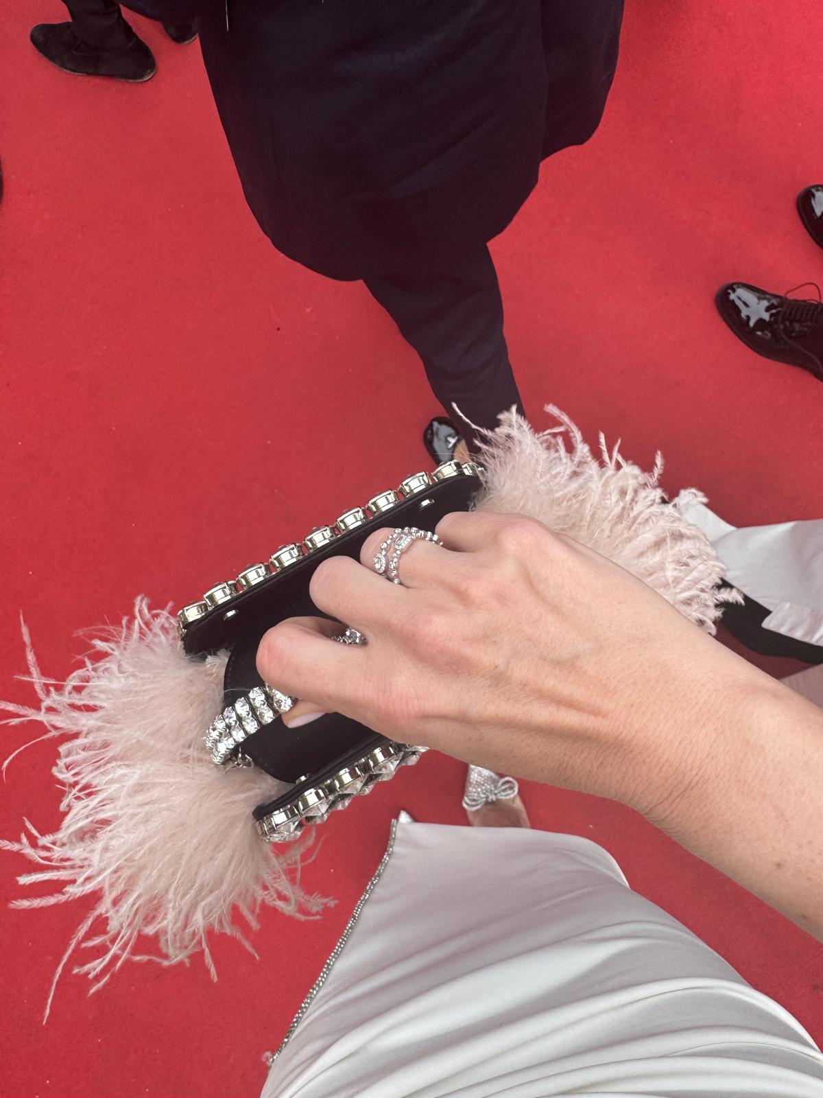Sartoro Genève and My Dazzling Red Carpet Moment at the 78th Cannes Film Festival. 18 Sartoro Genève and My Dazzling Red Carpet Moment at the 78th Cannes Film Festival. 17